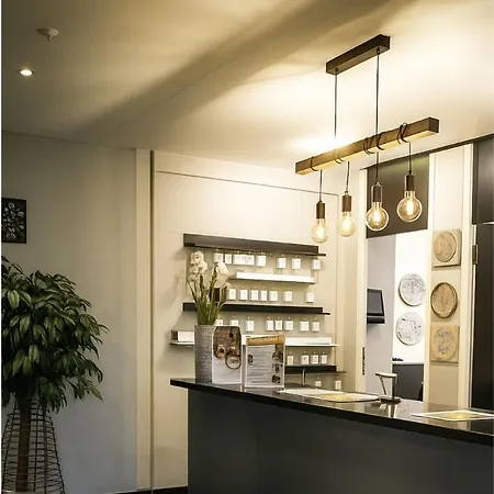 Plaza & Living Frankfurt 3* פרנקפורט