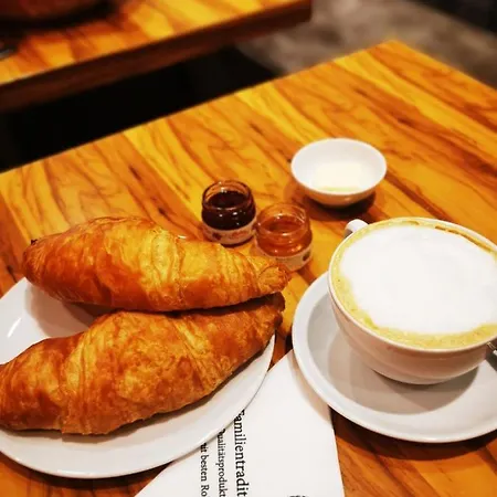 Plaza & Living Frankfurt 美因河畔法兰克福